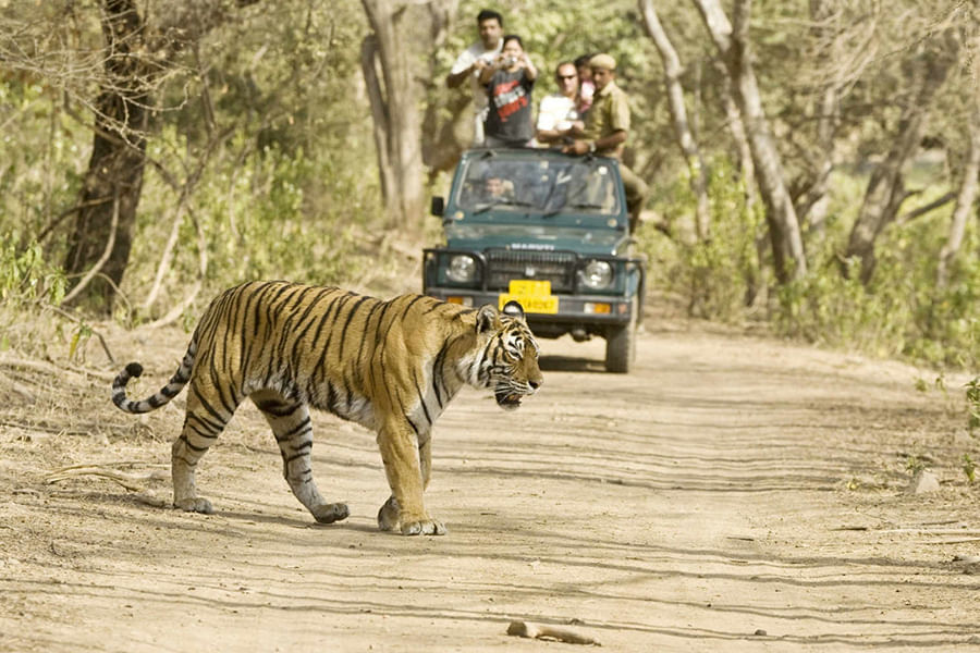 JIM CORBETT, UTTARAKHAND (approx. 226 km from Delhi)