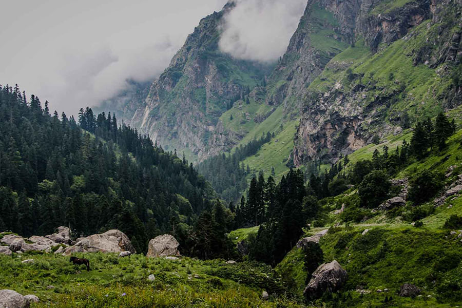 KASOL, HIMACHAL PRADESH ( approx. 523 km from Delhi)