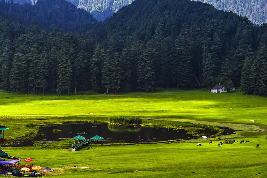 KHAJJIAR, HIMACHAL PRADESH (approx. 577 km from Delhi)