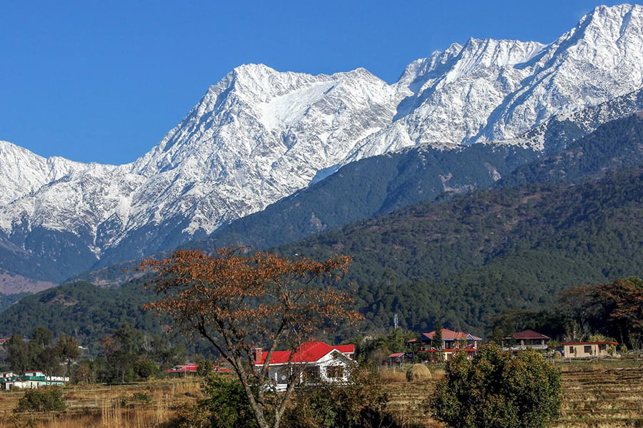 PALAMPUR, HIMACHAL PRADESH (approx. 489 km from Delhi)