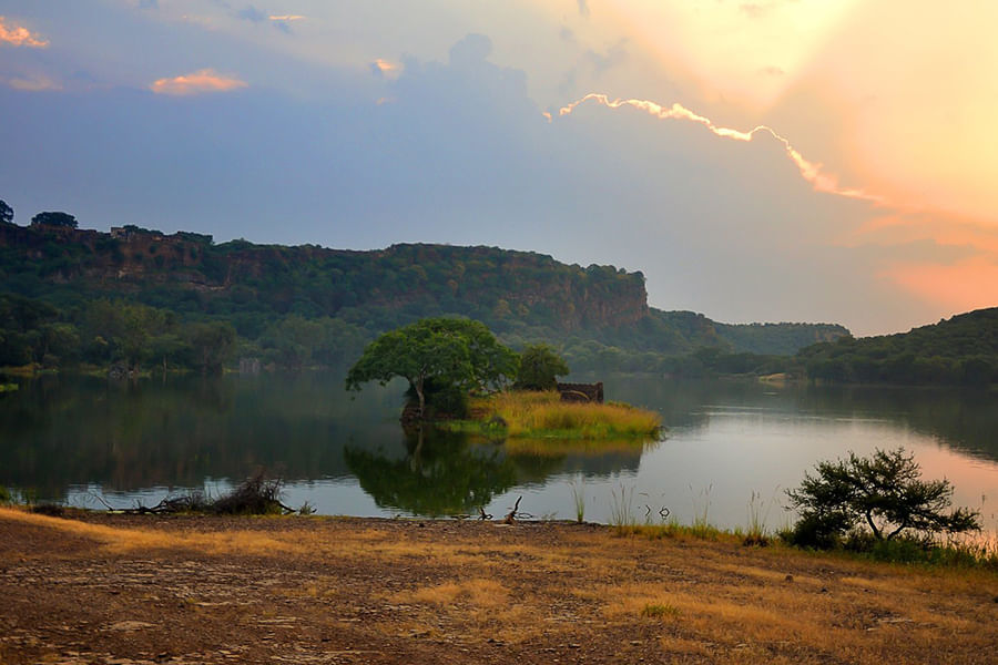 RANTHAMBORE, RAJASTHAN (approx. 397 km from Delhi)
