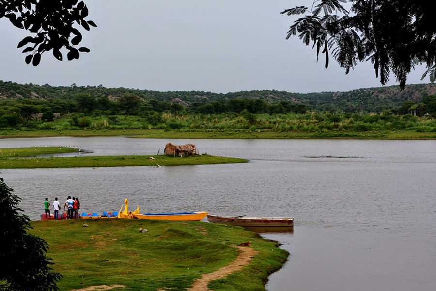 DAMDAMA LAKE, HARYANA (approx. 60 km from Delhi)