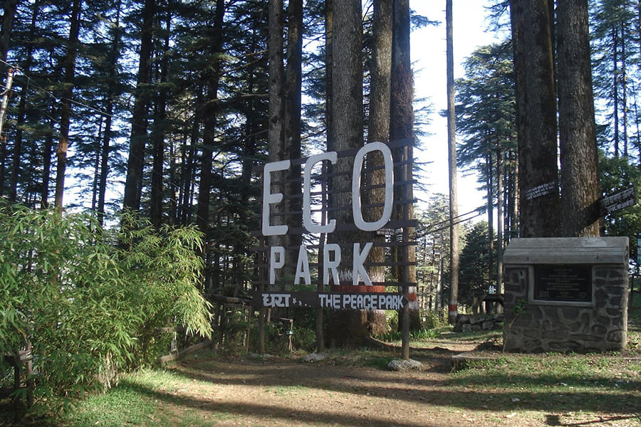 DHANAULTI, UTTARAKHAND (approx. 313 km from Delhi)