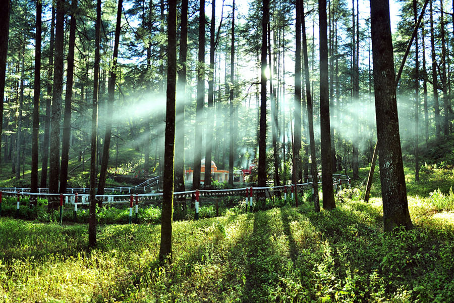LANSDOWNE, UTTARAKHAND (approx. 276 from Delhi)