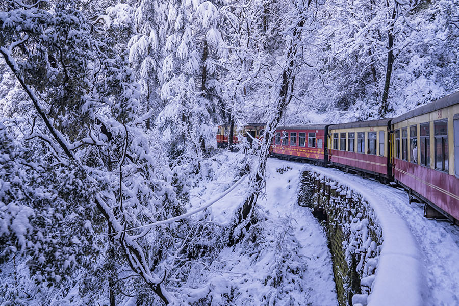 SHIMLA, HIMACHAL PRADESH